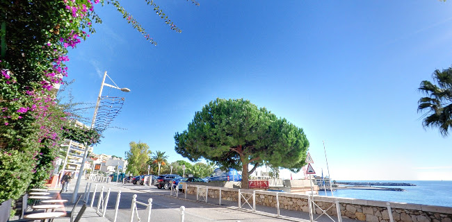 Avis sur Bar Côté Jardin à Toulon - Bar