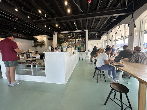 Lineage Coffee - Visual