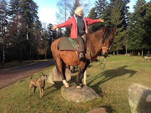 Photo n°11 de Equi Plaisirs à Wangenbourg-Engenthal (Centre équestre)