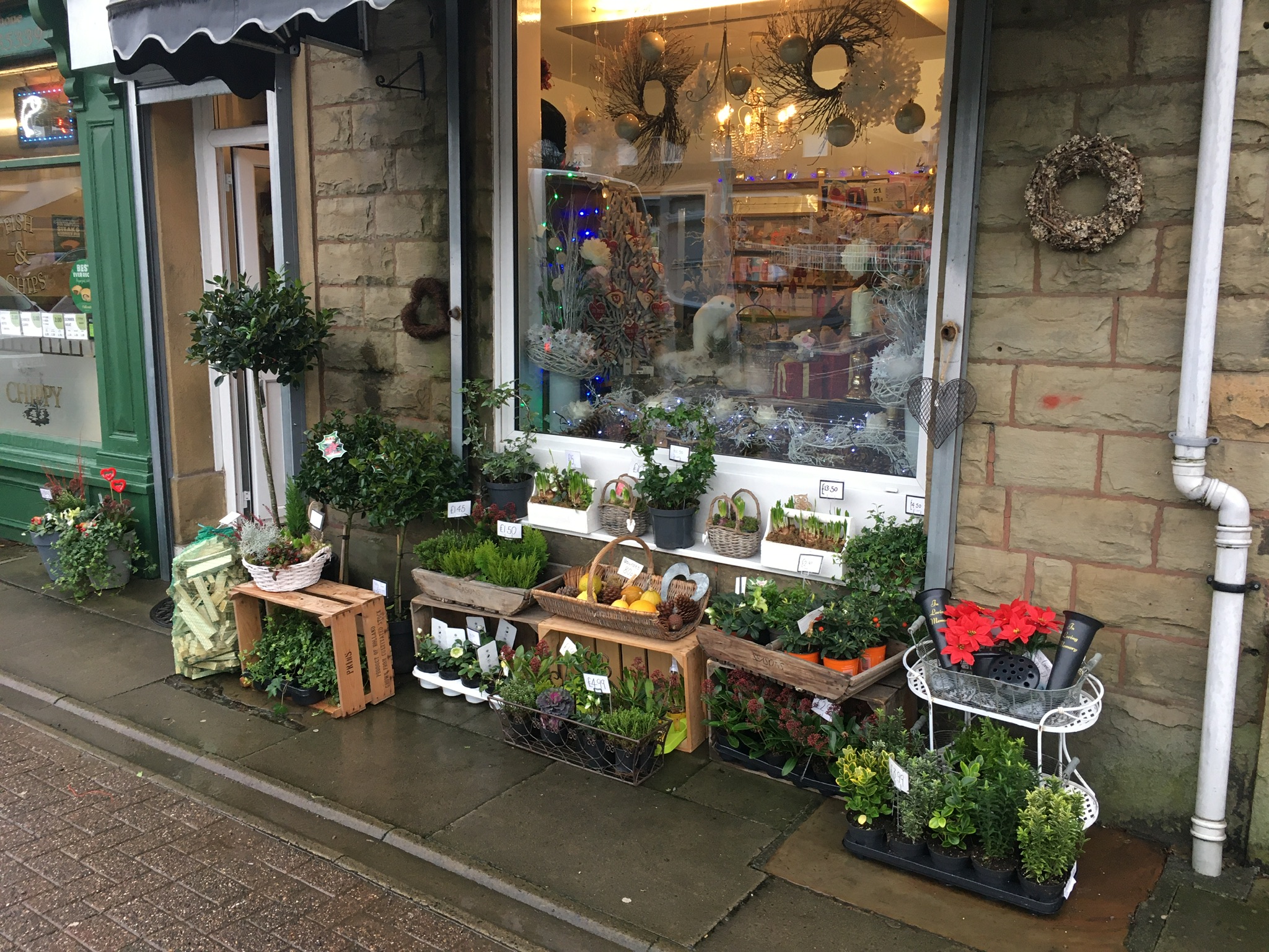 Seasons Floral Design - Florists - photo 1