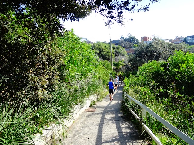 Bondi to Coogee walk