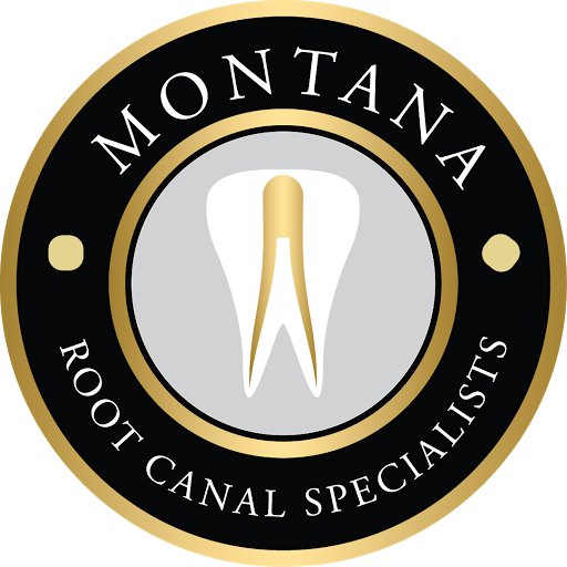 Montana Root Canal Specialists - Julie Strong, DMD, MS