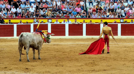 Plaza de Toros de Calasparra.