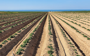 Photo n°3 de Motoculture de Haute-Normandie - deparrois à La Vaupalière (Fournisseur de pompes à eau)