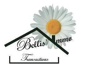 Photo n°8 de Bellis Immo Transaction à Chevigny-Saint-Sauveur (Agent immobilier)