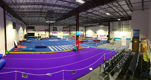 Mega Gymnastics - Visual