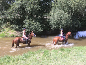 Photo n°11 de Club Hippique de Grasse : Centre Équestre à Grasse à Grasse (Entraîneur de chevaux)