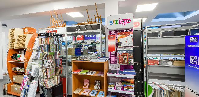 https://www.plastyk.biz/