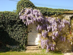 Maison de charme à la forêt de Fontainebleau