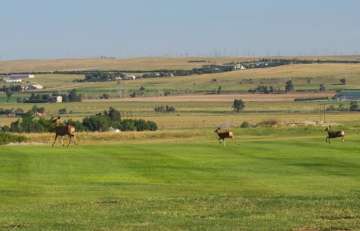 Hillside Golf Course - Thumbnail