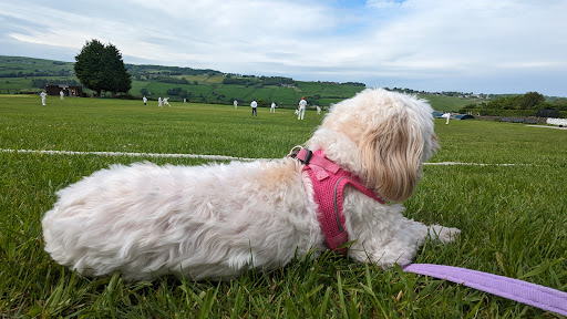 Haworth Cricket Club - Thumbnail
