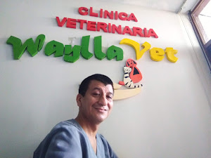 Clínica Veterinaria Waylla Vet (Dra. Juli Rojas) 0