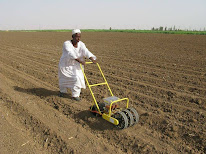 Terradonis à La Jarrie