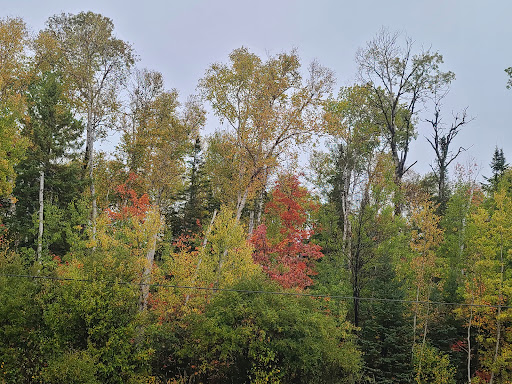 Agawa Bay Scenic Lookout - Thumbnail