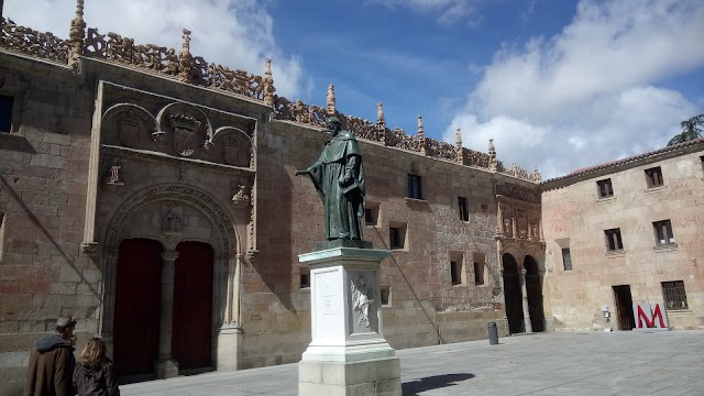 Camping Don Quijote