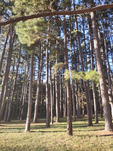 Sand Run Picnic Area - Thumbnail