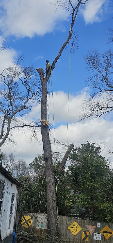 Augusta Landworks Bush Hog & Tree Removal