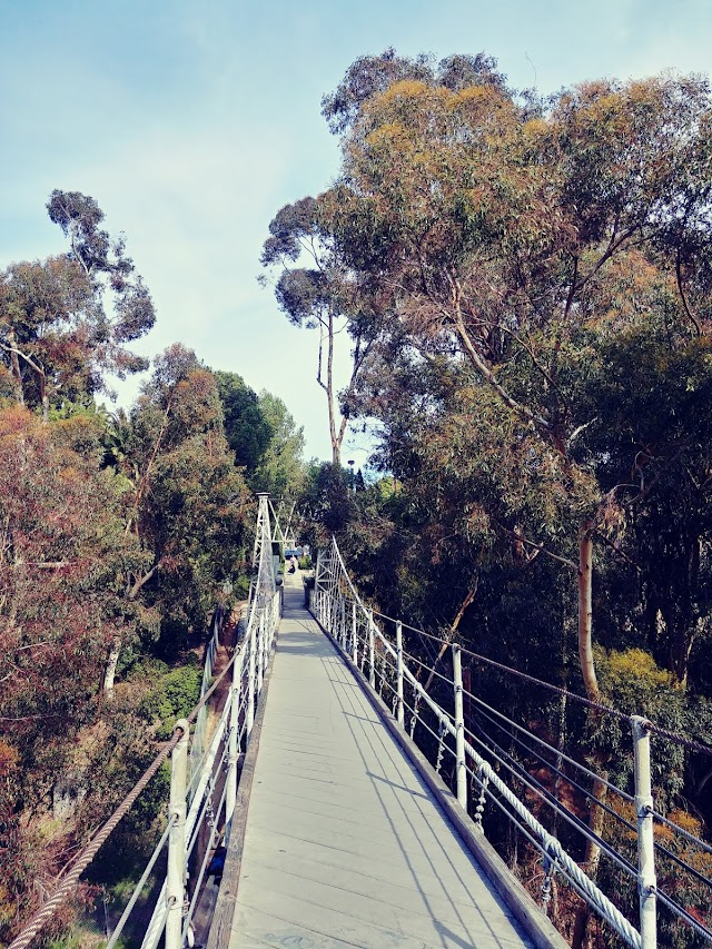 Spruce Street Suspension Bridge