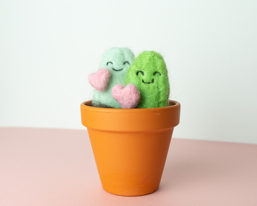 Potted Babe - Visual