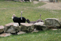 Cleveland Metroparks Zoo, Cleveland, United States