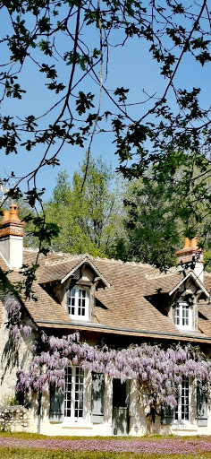 Photo de Domaine de la Pépinière, chambres d'hôtes à Chouzy-sur-Cisse (41150)