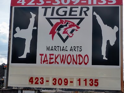 Tiger Taekwondo Dunlap