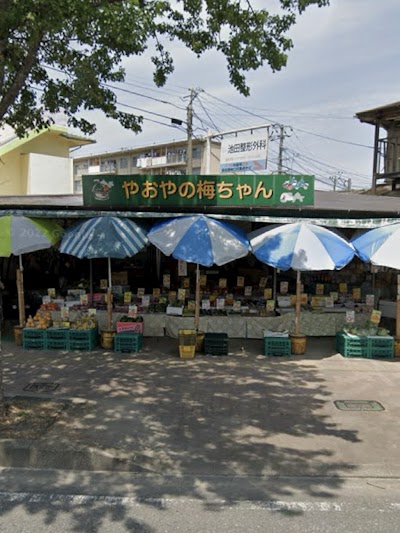 やおやの梅ちゃん