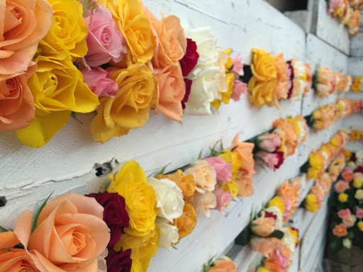Rose Danielis Gallery - Italy