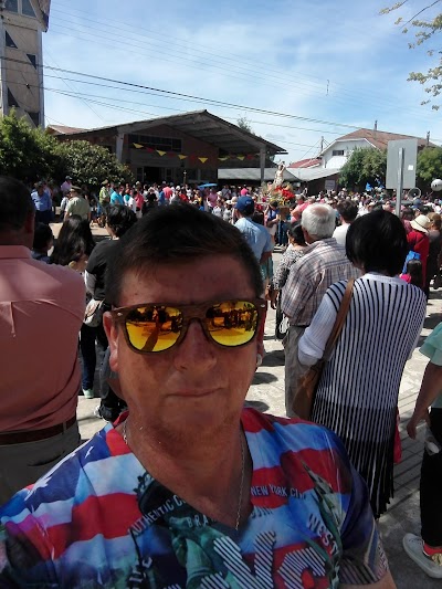 Photos of Col&uacute;n Paillaco