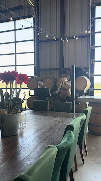 Grapetown Vineyard by null