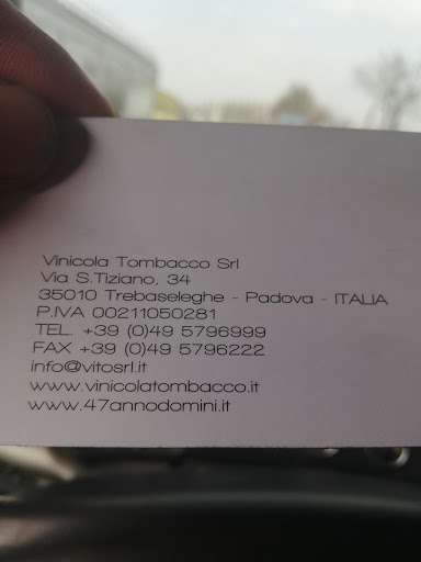 Vinicola Tombacco Srl - Thumbnail