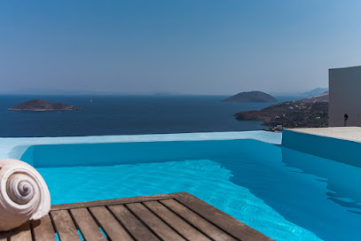 Kastis Real Estate | Office