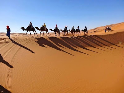 travel-agency
