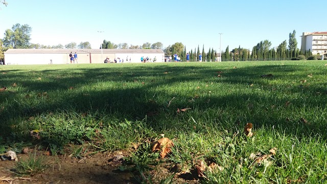 Stade d'Honneur du Parc des Sports et de l'Amitié (Egassiairal)