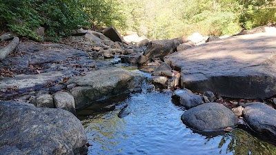 Big Soddy Creek Gulf