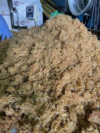 やぶ水産有限会社