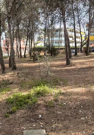 4 bosques - Visual