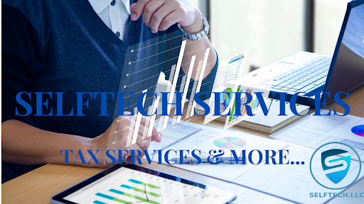 SELFTECH SERVICES LLC - Visual