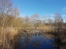 Askham Bog york