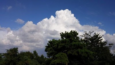 Photos of 심학산