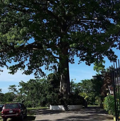 Photos of Cuyamel Plantation La Ceiba