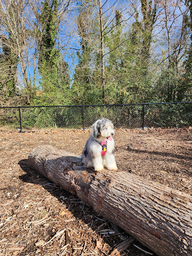 Midland Dog Park - Thumbnail
