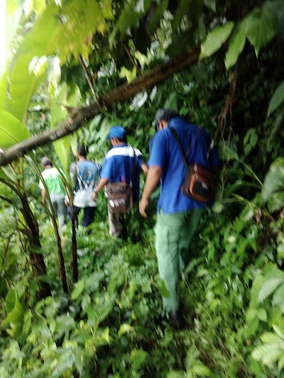 Photos of Puncak Kompos