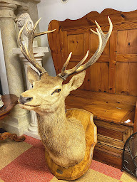 Photo n°14 de Bonkers à La Souterraine (Magasin de vêtements vintage)