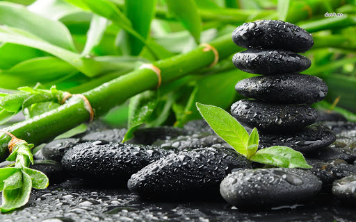 Nvogue Medi Spa and Wellness Center