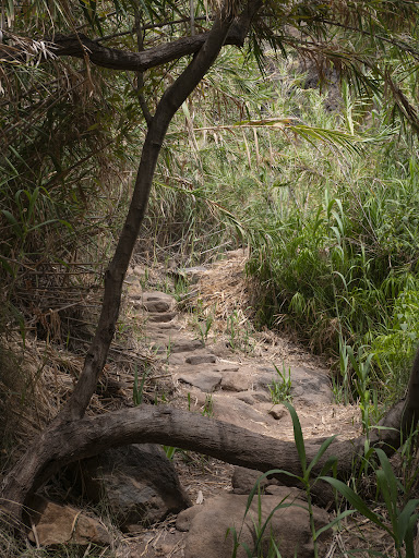 Barranco de Arure - Thumbnail