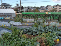 シェア畑Masters 川崎宮前