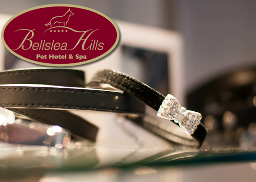 Bellslea Hills Pet Hotel & Spa