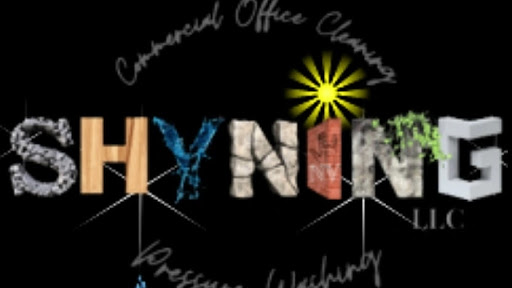 Shyning LLC Logo