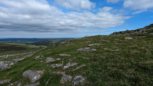 Roos Tor - Visual